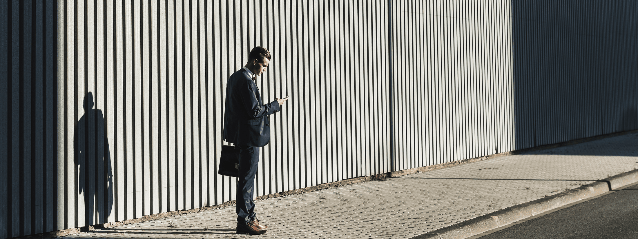 Professional services—client intelligence, matter and project delivery, and firm operations.